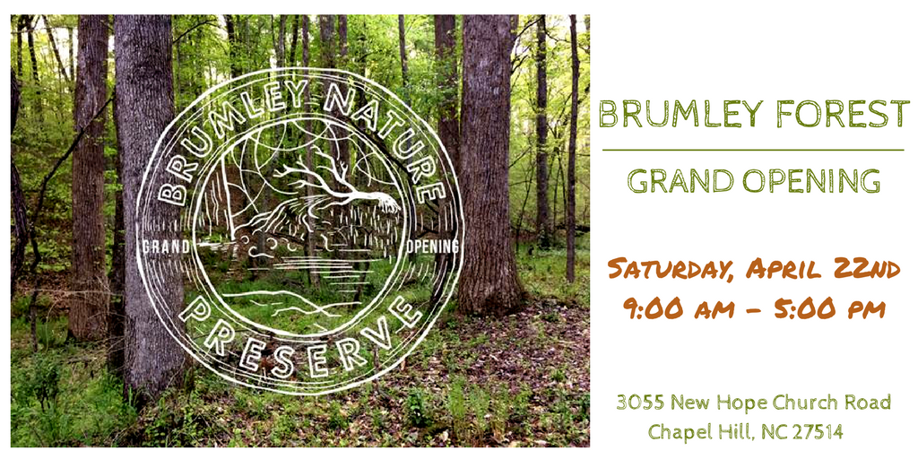 Join Us This Saturday For The Brumley Forest Grand Opening Schoolhouse Of Wonder