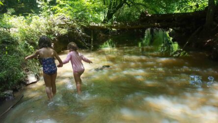 girls in creek