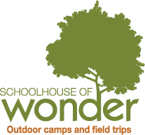 Schoolhouse of Wonder