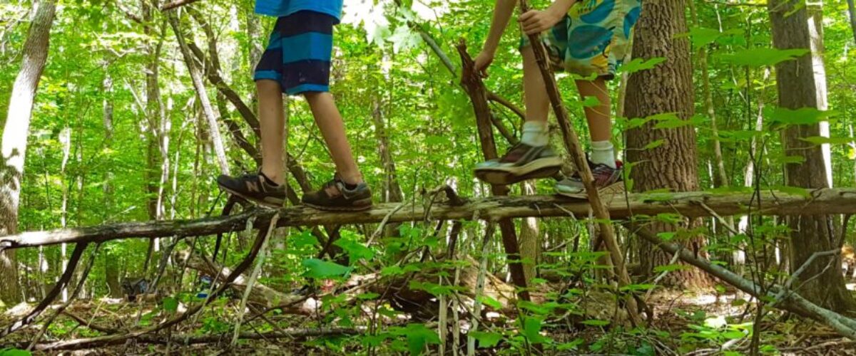 log walk