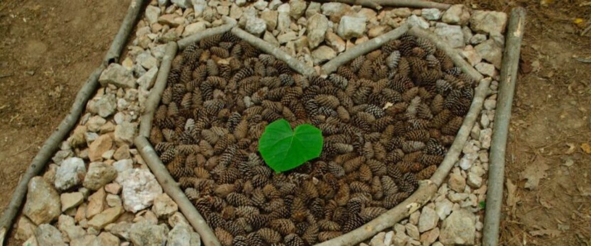 48976172546_db560f4796_o