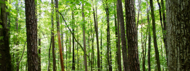 48789825586_0014243809_k-1_1600x600_acf_cropped_1600x600_acf_cropped_1600x600_acf_cropped_1600x600_acf_cropped