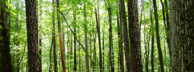48789825586_0014243809_k-1_1600x600_acf_cropped_1600x600_acf_cropped_1600x600_acf_cropped_1600x600_acf_cropped_1600x600_acf_cropped_1600x600_acf_cropped