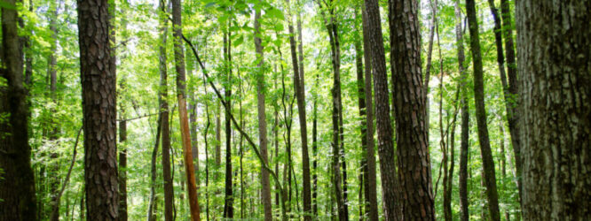 48789825586_0014243809_k-1_1600x600_acf_cropped_1600x600_acf_cropped_1600x600_acf_cropped_1600x600_acf_cropped_1600x600_acf_cropped_1600x600_acf_cropped_1600x600_acf_cropped