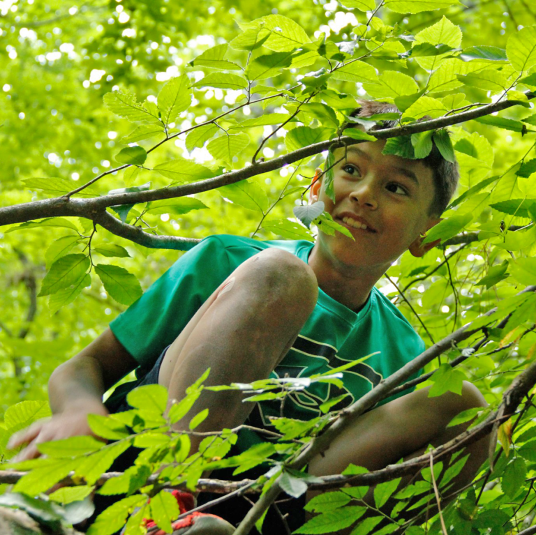 Raleigh Summer Camp Schoolhouse of Wonder