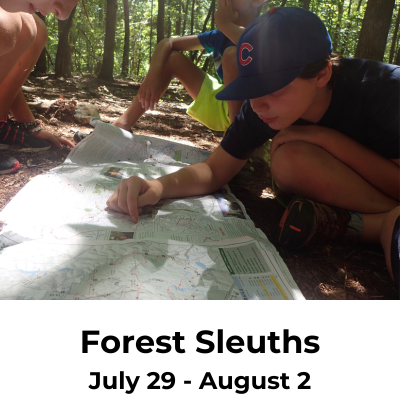 forest sleuths