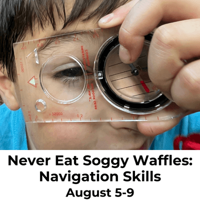 never eat soggy waffles navigation skills