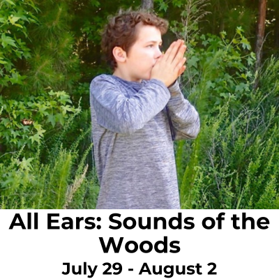 All ears: sounds of the woods