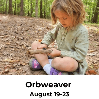 Orbweaver