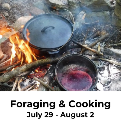 Foraging & Cooking