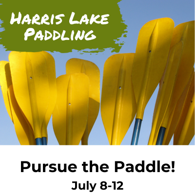 pursue the paddle