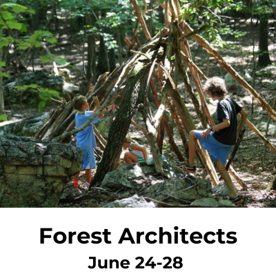 Forest Architects