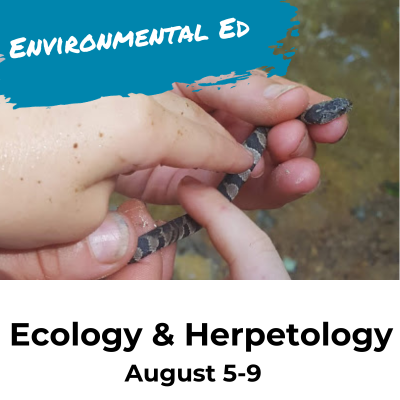ecology and herpetology