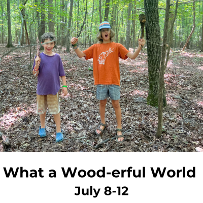 what a wood-erful world