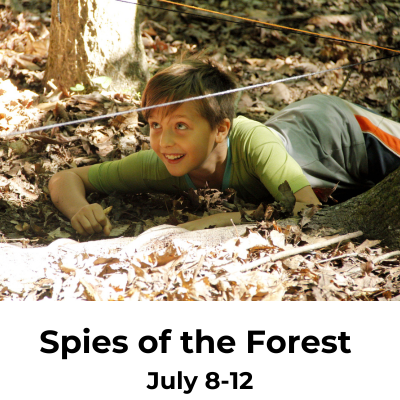 spies of the forest