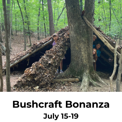 bushcraft bonanza