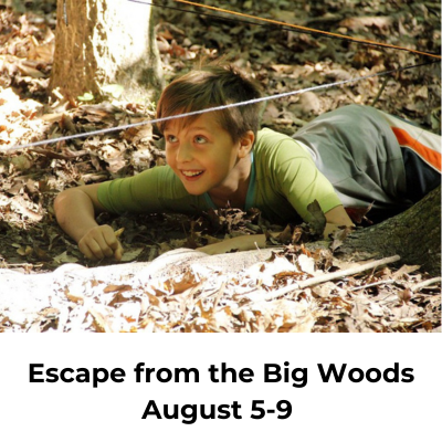 escape from the big woods