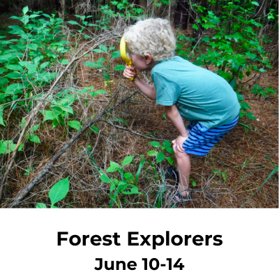 Forest Explorers BH
