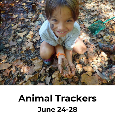 Animal Trackers BH