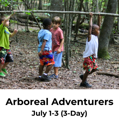 Arboreal Adventurers BH