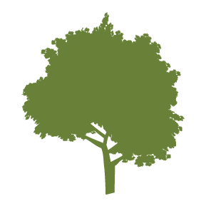 Schoolhouse of Wonder logo