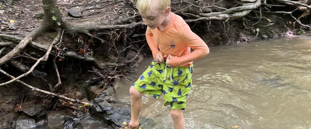 54016235542_c06f84a560_b