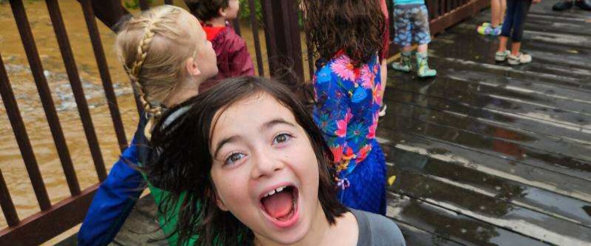 54036522768_5fbb9acb0e_b