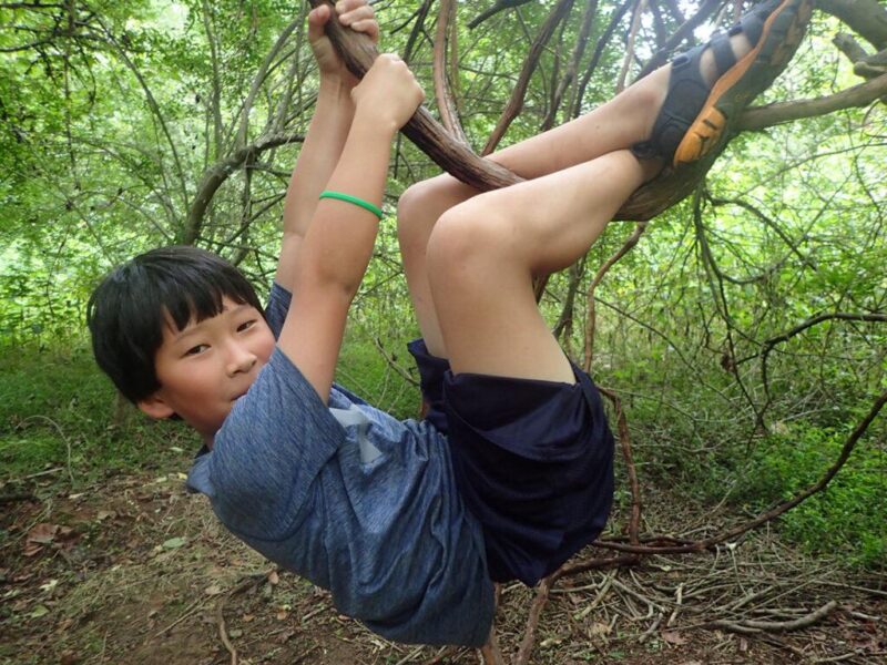 30134850308_9b1e389f08_o-copy 30134850308_9b1e389f08_o-copy