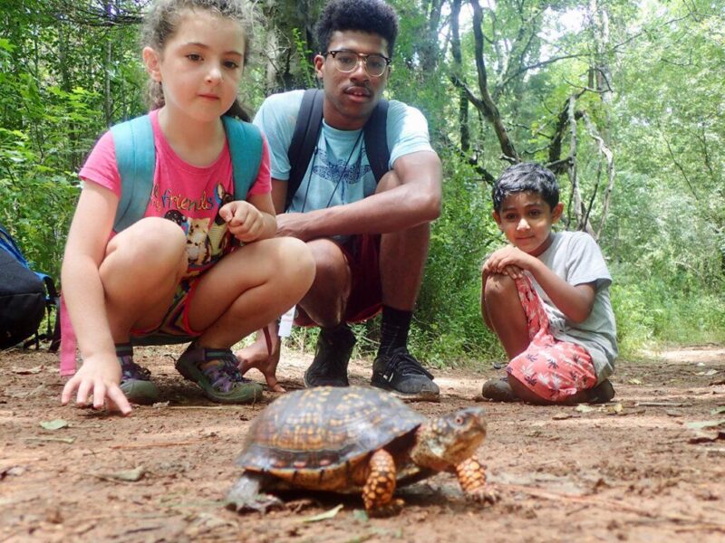 42005135960_5d29630483_o-copy 42005135960_5d29630483_o-copy