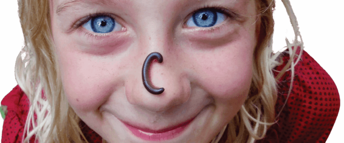 ShoW_cut outs 2_4@4x