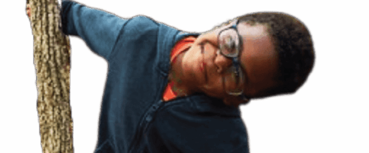 ShoW_cut outs 2_6@4x