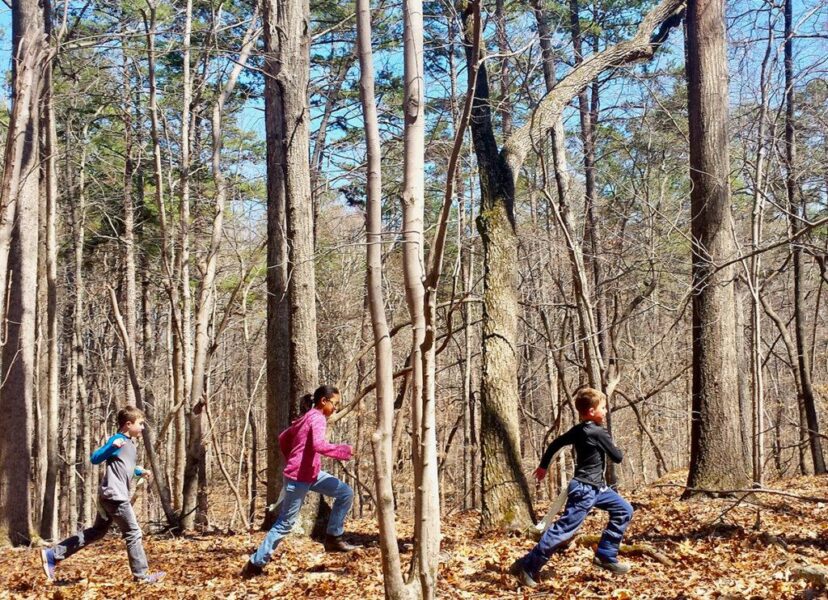 Wild-Games-3 Wild-Games-3