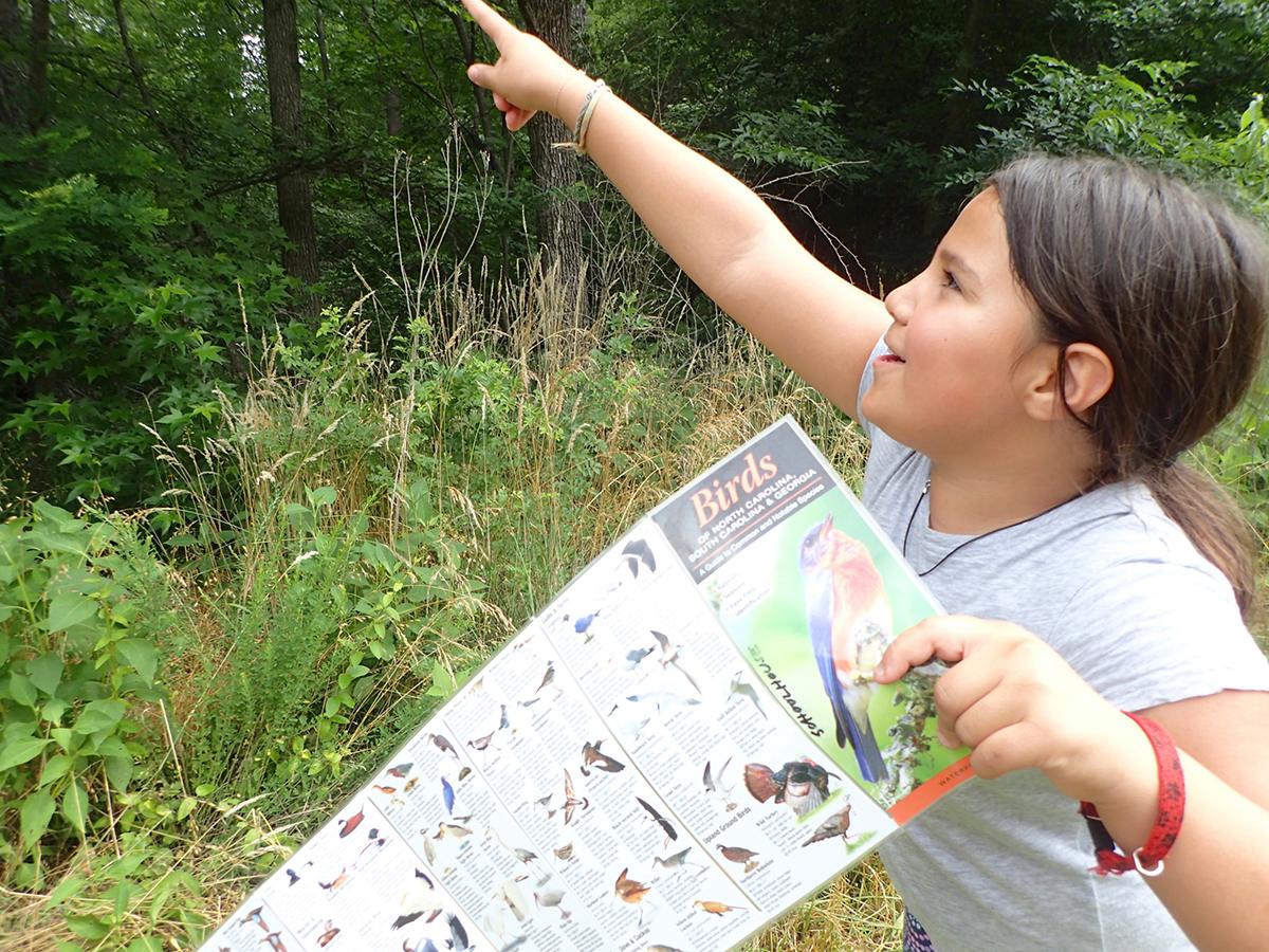 bird-identification-copy