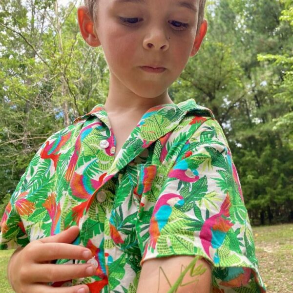 July 28 - August 1: Katydid