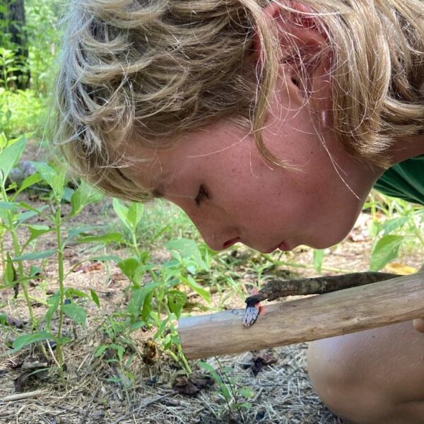 July 21-25: Woodworking in the Willows