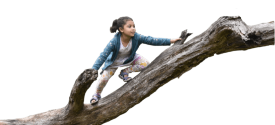Climber 2