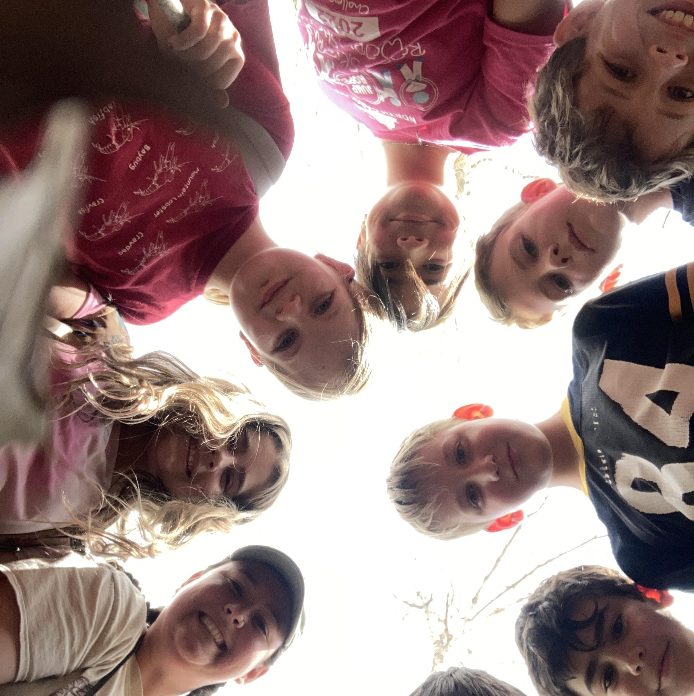 Forest Frenzy photo gallery