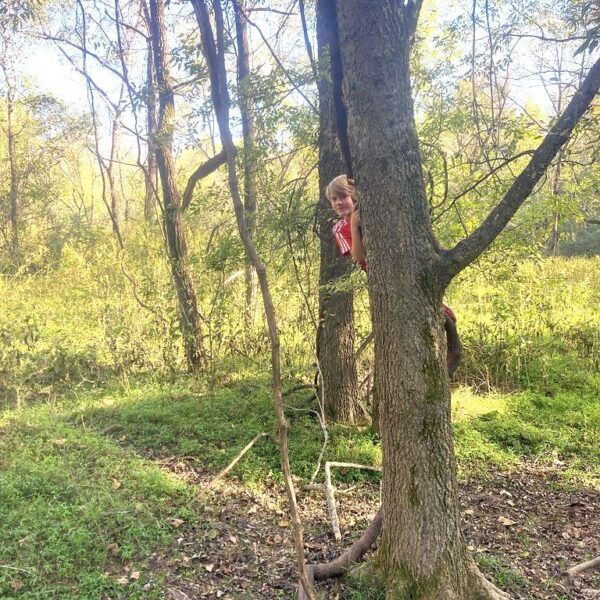 October 24 Discovery Day at Brumley Forest