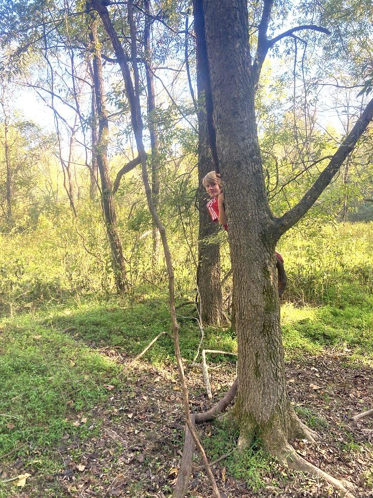 October 24 Discovery Day at Brumley Forest