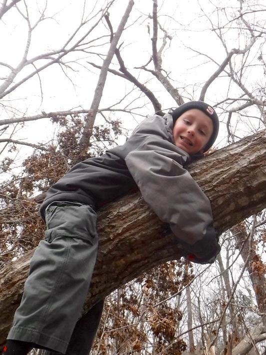 December 10 Discovery Day at Brumley Forest