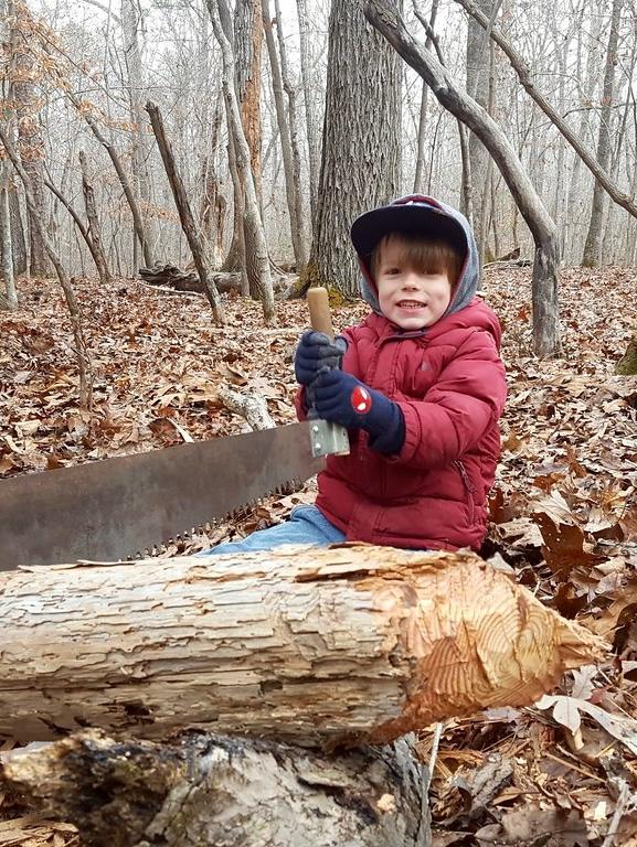 December 15-19: Secrets of the Forest