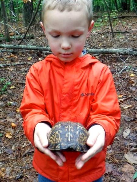 November 24-25: Brumley Bonanza