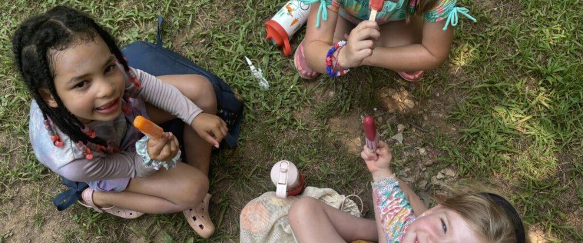 54627625365_f9ea82efc2_o