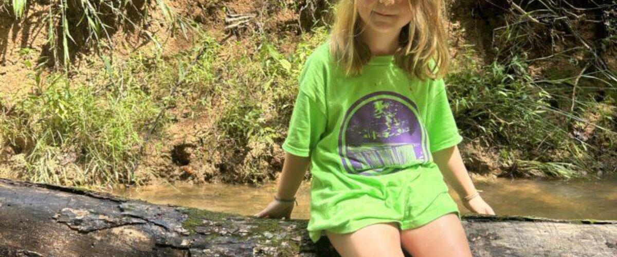 Fern Cover Photo