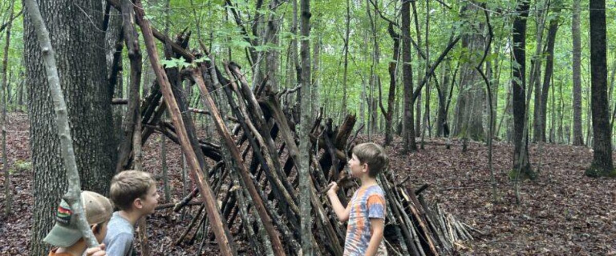 The Forest Fronteir Cover