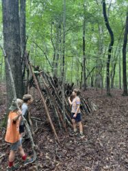 The Forest Fronteir Cover