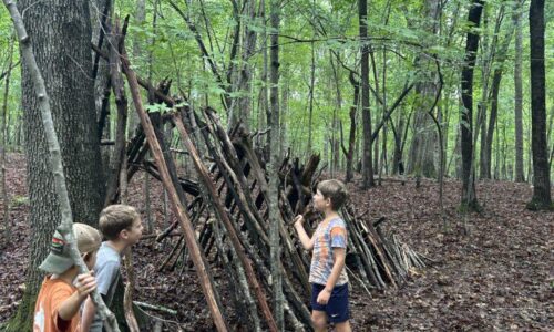 July 7-11: The Forest Frontier Photo Gallery