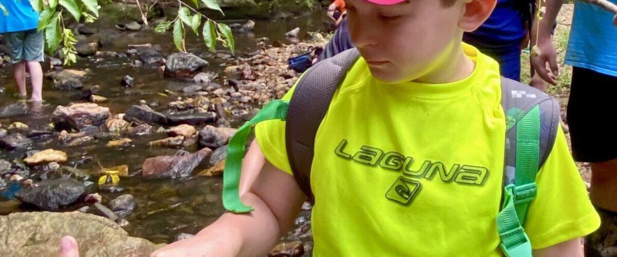 creekcrawlers flickr