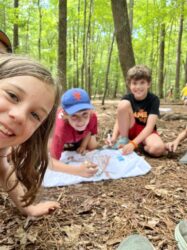 forts zenovia