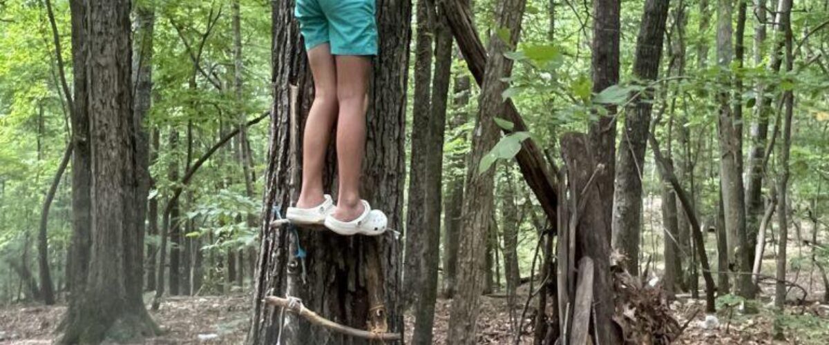 treemendous